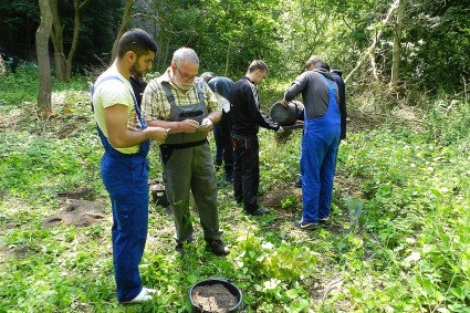 Ein älterer Mann betrachtet ein ein kleines Fundstück. Ein Jugendlicher steht neben ihm. Daher weitere Teilnehmende des Workcamps, die mit dem Durchsieben beschäftigt sind. Der Boden ist voller Grünpflanzen.