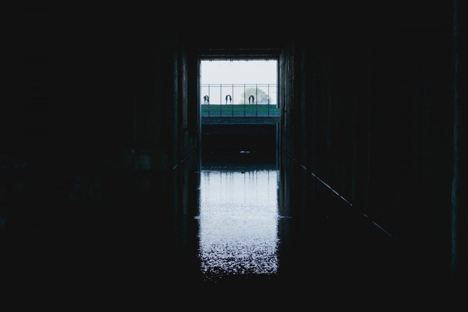 Blick auf das Wasser im Tauchbecken. Auf der gegenüberliegenden Seite sind Personen, die sich vermutlich an den Händen festhalten.  