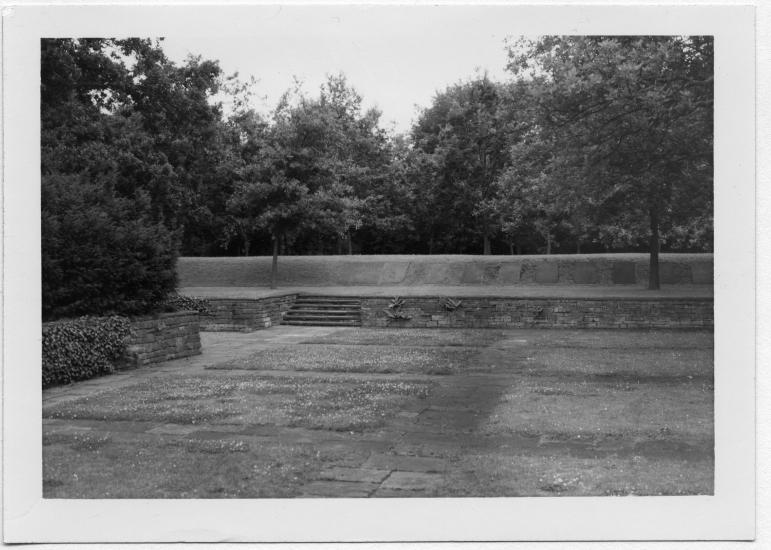 Gezeigt wird ein schwarz-weißes Bild von einem Friedhof, im Hintergrund ist ein Waldstück zu sehen.  