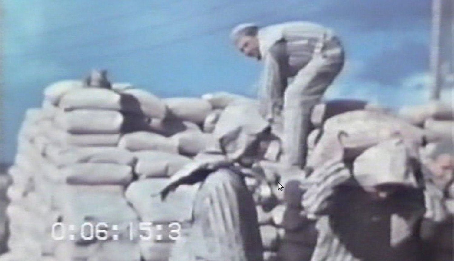 Farbiges Filmmaterial zeigt Menschen in gestreifter Häftlingskleidung, die Zementsäcke auf die Schulter nehmen und tragen. 